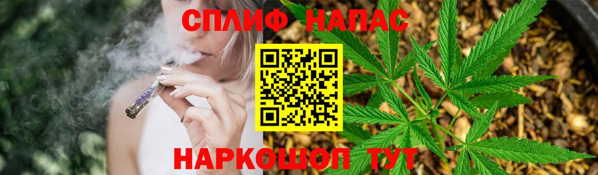 Бошки Шишки Amnesia Бийск